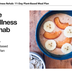 The Wellness Rehab 11-day plant-based meal plan